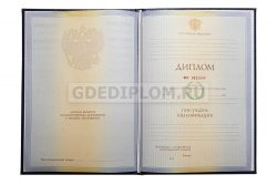 диплом МИРТШБ 2010-2011